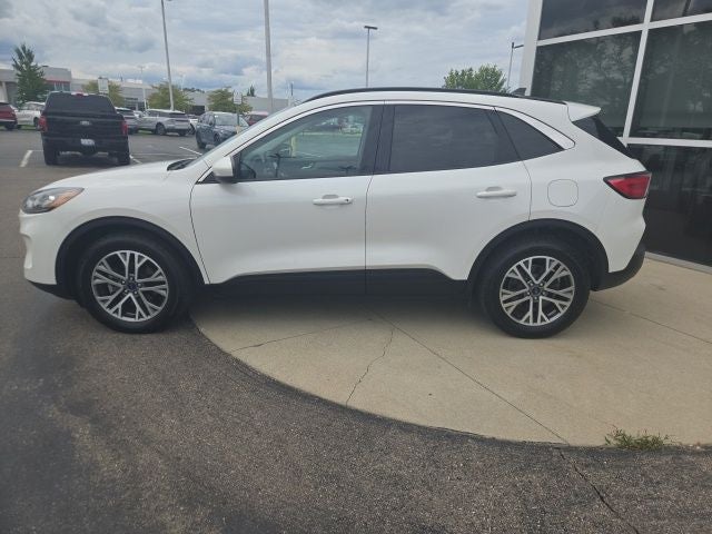 2022 Ford Escape Hybrid SEL