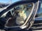 2007 Ford Fusion S